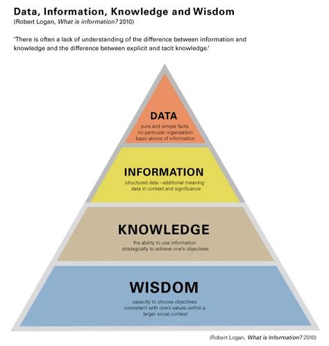 Leadership, Nature, Critical Thinking, Knowledge Management, What Is Information, Data Meaning, Information Processing, Logic And Critical Thinking, Knowledge And Wisdom