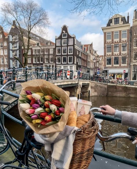 Groningen, Summer, Amsterdam, Instagram, Travel, Fotos, Fotografie, Nederland, Voyage