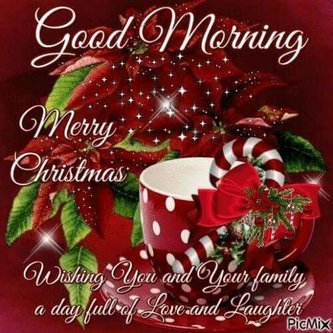 GOOD MORNING AND MERRY CHRISTMAS !!!! WISHING YOU AND YOUR FAMILY A DAY FULL OF LOVE AND LAUGHTER Natal, Good Morning Christmas, Christmas Morning Quotes, Christmas Morning, Christmas Blessings, Merry Christmas And Happy New Year, Merry Christmas Quotes, Merry Christmas To You, Merry Christmas Photos