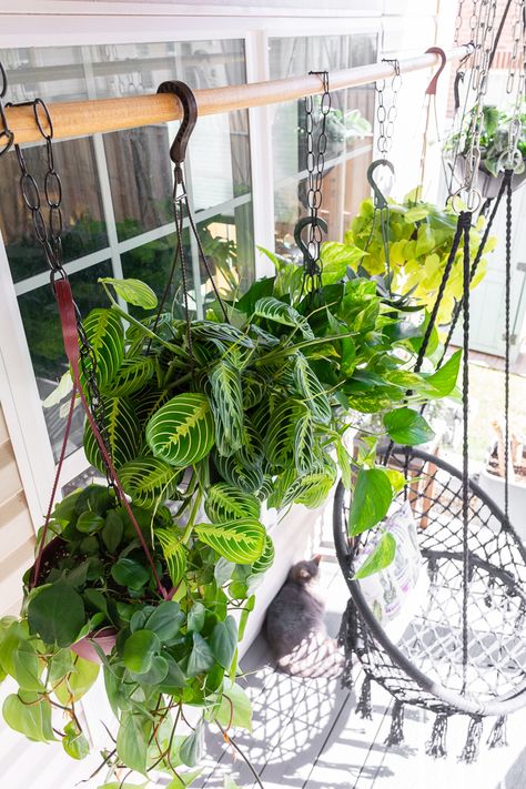 Learn about how to care for the stunning maranta leuconeura, aka the prayer plant. Prayer plant care is relatively easy, and these plants come in a variety of colors, patterns, and sizes. Also learn how easy it is to propagate! Gardening, Planters, Diy, Hanging Plants Indoor, Hanging Planters, Best Indoor Hanging Plants, Hanging Plants, Hanging Plant, Plant Hanger