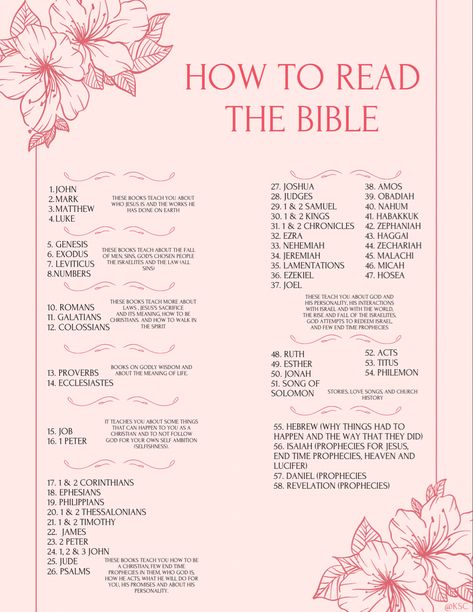 Breakdown of the books of the Bible to have a better understanding 🤍 Ebooks, Christ, Lord, Bible Study John, Bible Character Study, Bible Reading Guide, Bible Devotions, Bible Knowledge, Bible Reading Plans