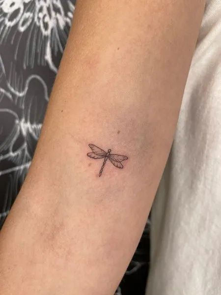 Small Dragonfly Tattoos, Tiny Dragonfly Tattoo, Small Simple Dragonfly Tattoo, Small Dragonfly Tattoo, Small Dragon Fly Tattoo, Tiny Dragonfly Tattoo Simple, Small Insect Tattoo, Tiny Dragonfly Tattoo For Women, Dragon Fly Small Tattoo