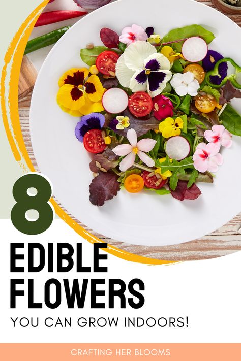 Lots of the time we grow flowers because they are gorgeous and smell nice. But did you know there are some common flowers that are also edible? Check out eight examples of flowers to grow and eat that can also be grown indoors! Nature, Smoothies, Gardening, Nice, Floral, Ideas, Growing Herbs, Edible Plants, Edible Flower Garden