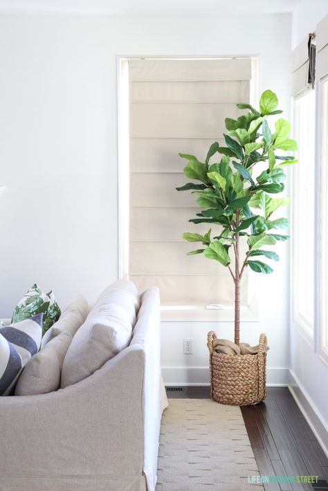 Bright & white coastal inspired living space with a fiddle leaf fig.  Pottery Barn York Sofa with coastal throw pillows and greenery. #homedecor #homedecorideas #homedesign Interior, Home Décor, Home, Living Room Decor Cozy, Living Room Plants, Home Decor, Living Room Decor, Plant Decor Living Room, Coastal Living