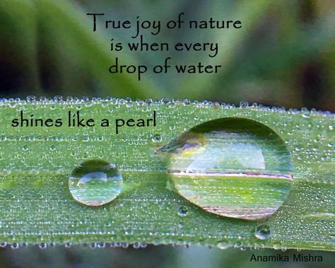 Nature quote about a drop of water. Motivation, Thoughts, Inspiration, Nature, Rain, Water Quotes, Water Drop Quotes, Nature Quotes Adventure, Nature Quotes