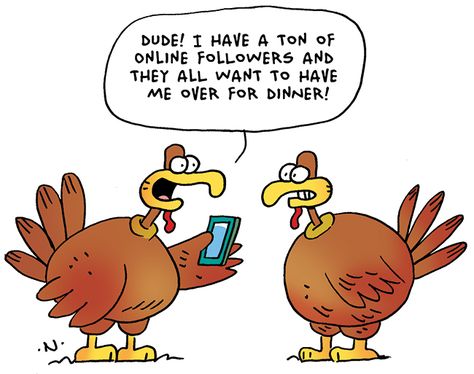Thanksgiving, Funny Quotes, Funny Jokes, Humour, Memes Humour, Seriously Funny, Jokes And Riddles, Memes Humor, Funny Turkey