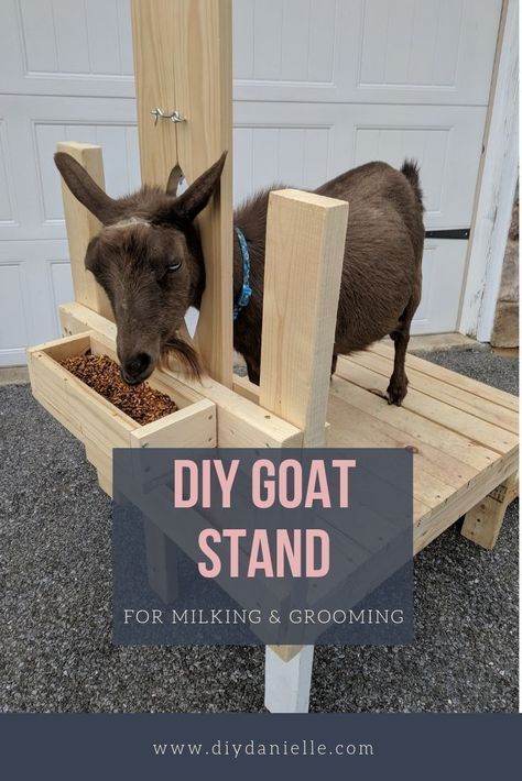 Gardening, Diy Goat Toys, Goat Shed, Goat Milking Stand, Goat Shelter, Goat Barn, Goat House, Goat Toys, Goat Care