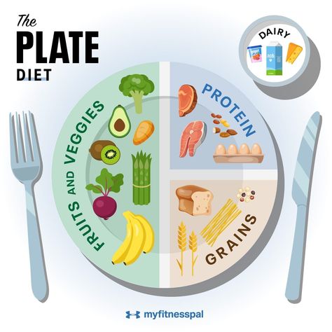 10 Things to Know About the Plate Diet Nutrition, Healthy Recipes, Diet And Nutrition, Nutrition Recipes, Health And Nutrition, Diet Plate, Balanced Diet, Nutrition Plate, Diet Meal Plans
