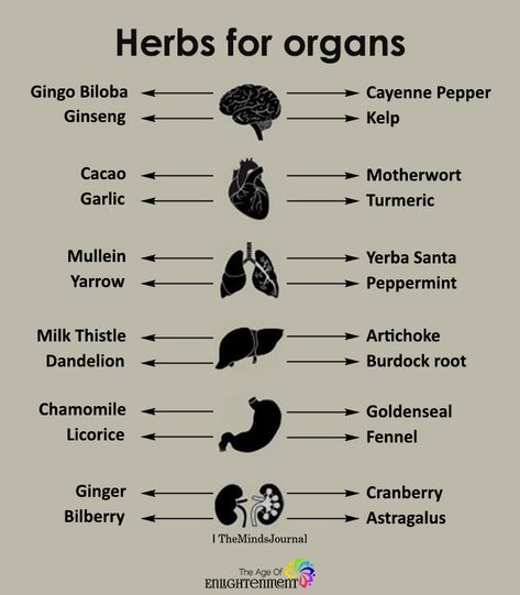 Herbs For Organs #Health Meditation, Nutrition, Detox, Herbs For Health, Healing Food, Health Remedies, Herbalism, Herbal Remedies, Herbal Healing
