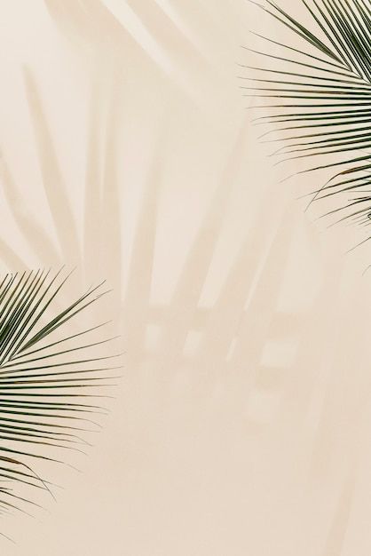 Fresh palm leaves on beige background Fr... | Free Photo #Freepik #freephoto #leaf #nature #tropical #plant Instagram, Background, Fotos, Beige Background, Background Images, Background Pictures, Yellow Background, Bunga, Beige