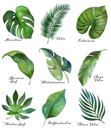 Tropical Leaf Free Printable Art -Series of 9 | The Happy Housie | Beautiful free summer printables with customizable options and easy to download for your summer home decor. #summerdecor #plants Watercolour Art, Tropical Leaves, Summer Art, Watercolor, Tropical Plants, Plant Art, Watercolor Art, Botanical Art, Tropical