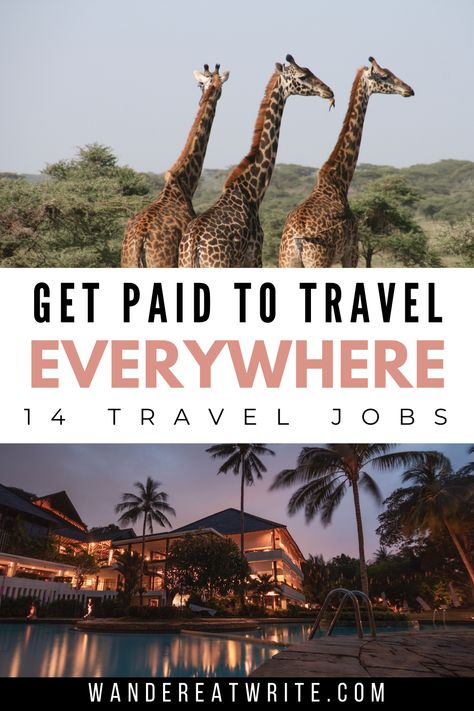 Text: Get paid to travel everywhere: 14 travel jobs; top photo: three giraffes in africa; bottom photo: night view of luxury resort with pool and palm trees Travelling Tips, Trips, Ideas, Travel Destinations, Wanderlust, Travel Jobs, Travel Careers, Travel Jobs Career, Paid Travel