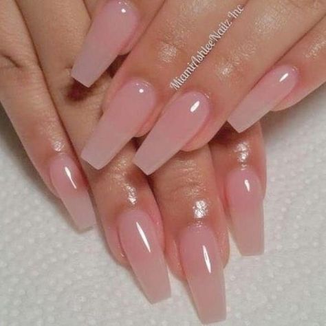 I can do anything. on Twitter: "I’ve been searching for a nail tech that can successfully pull this off for like 5 years.… " Nail Designs, Nail Ideas, Pink Acrylic Nails, Light Pink Acrylic Nails, Coffin Nails Designs, Clear Acrylic Nails, Nail Colors, Nude Shimmer Nails, Matte Acrylic Nails