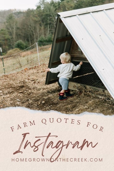 Farm Quotes for Instagram - Homegrown on the Creek Instagram, Inspiration, Farm Life Quotes, Farm Quotes, Farm Girl Quotes, Farm Jokes, Farm Pictures, Farm Life, Farm Day