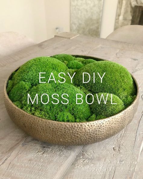 Laura Beth on Instagram: “🌿 DIY moss bowl video 🌿 Thank you for the lovely message about the moss bowl I made a few days ago 💚 The few large moss bowls I’d found…” Diy, Gardening, Decorative Bowls, Decoration, Diy Moss Ball, Diy Bowl, Moss Balls, Wood Bowl Centerpiece, Wood Bowls