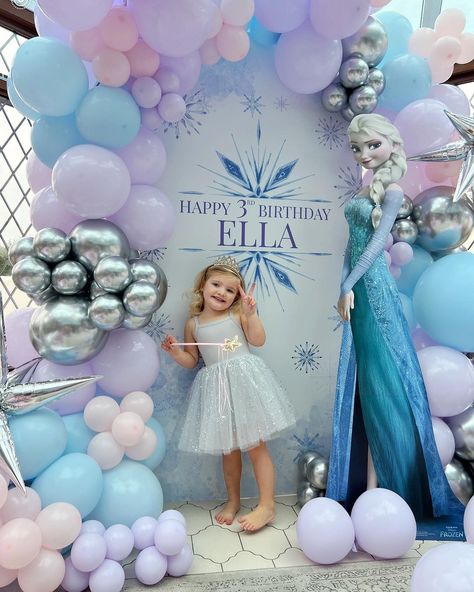 Pink, Girl Birthday Decorations, Girl Birthday Themes, Elsa Party Decorations, Girls Birthday Party Decorations, Elsa Birthday Party, Baby Birthday Party Theme, Elsa Birthday