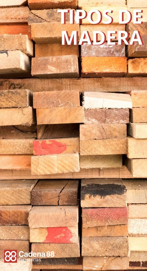 Te contamos las particularidades y ventajas de los principales tipos de madera utilizados en bricolaje. #Cadena88 #ferreterías #tiposdemadera #maderasduras #maderasblandas #bricolaje Woodworking Projects, Carpentry, Diy, Woodworking, Woodworking Tools, Madera, Wood Grill, Madeira, Wood Diy