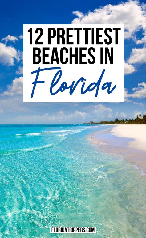Disney, Florida Keys, Florida, Best Beach In Florida, Beaches In Florida, Bonita Springs Florida Beach, Florida Beach Resorts, Navarre Beach Florida, Florida Beaches Vacation