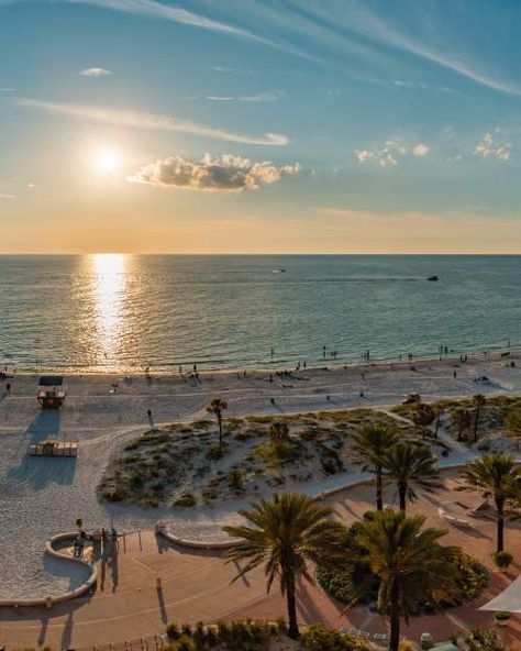 Clearwater Beach, Florida, Trips, Clearwater Beach Florida, Clearwater Beach Fl, Clearwater Florida, Florida Beaches, Beach, Places To Go