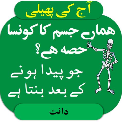 Riddles in Urdu for Kids with Answers 2020 | TestDunya Jokes, English, Nature, Good Vocabulary Words, Riddles, Good Vocabulary, Vocabulary Words, Tough Riddles, Funny Riddles