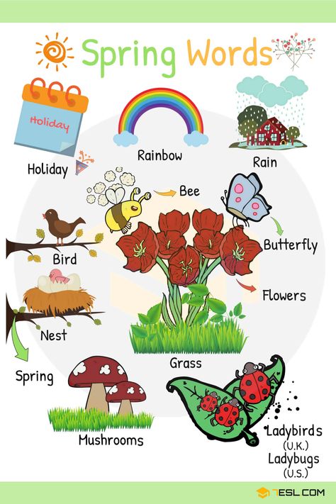 Spring Words in English | Spring Vocabulary with Pictures English, Spring Words, Seasons Worksheets, English Activities, English Vocabulary, English Lessons For Kids, English Words, English Activities For Kids, Teaching English
