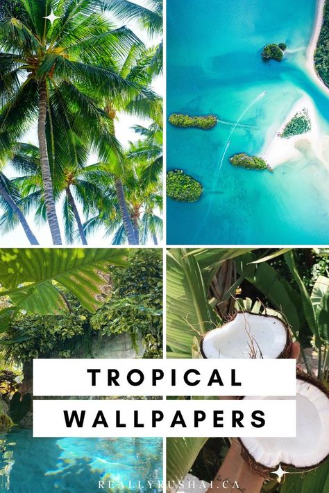 50+ Tropical Aesthetic Wallpapers For Your Next Island Getaway - ReallyRushai Palm Trees, Summertime, Beach, Summer, Inspiration, Tropical Wallpaper, Tropical, Summer Time, Beaches