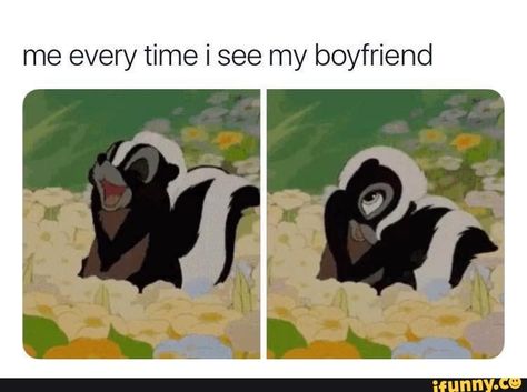 me every time i see my boyfriend – popular memes on the site iFunny.co #tiktok #internet #boyfriend #cute #sweet #wholesome #love #feature #featureworthy #tiktok #pic Instagram, Funny Memes, Wholesome Memes, Memes For Him, Funny Boyfriend Memes, Memes Quotes, Relationship Memes, Boyfriend Memes