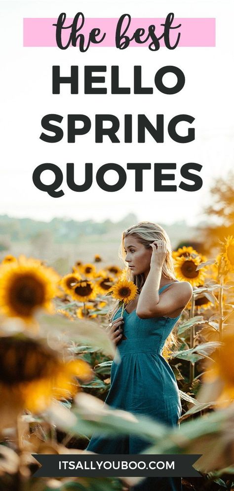 Happy Spring! Let's day goodbye to winter and welcome the first day of Spring! Click here for 65 Inspirational Hello Spring Quotes and Flower Sayings. Happy Spring! Let’s celebrate the season of blossoming and blooming flowers with these short and sometimes funny spring sayings. #SpringQuotes #HelloSpring #OhHelloSpring #InspirationalQuotes #SpringCaptions #FlowerQuotes #FlowerCaptions #GardenQuotes #Springtime #Spring #QuotesDaily #SpringIsHere Instagram, Motivation, Springtime Quotes, Spring Sayings, Spring Quotes, Hello Spring Quotes, Spring Message, Happy Spring Day, Happy Spring