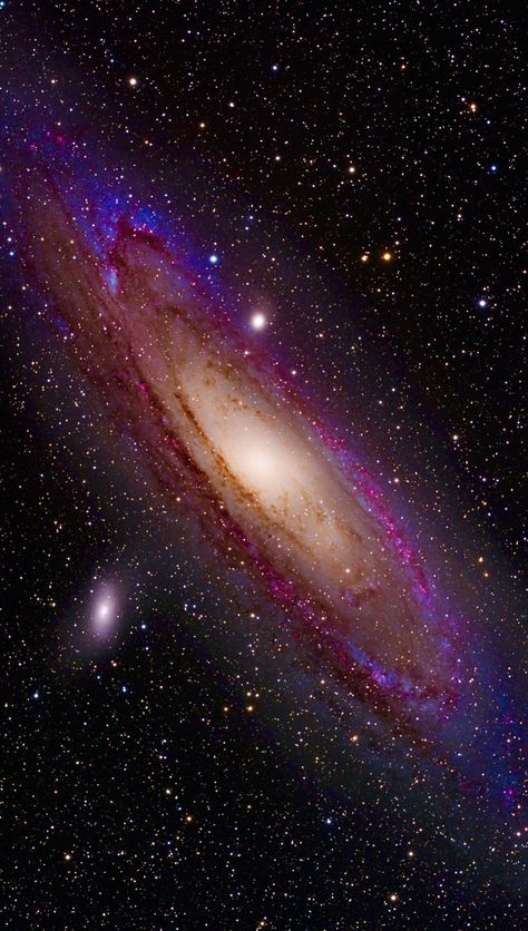 Enhanced Andromeda galaxy Galaxies, Cartoon, Resim, Fotografie, Nebula, Cartoons, Galaxie, Andromeda Galaxy, Galaxy Wallpaper