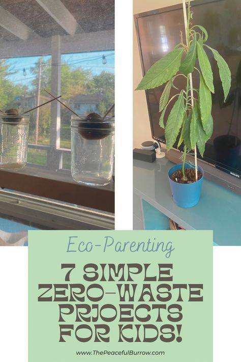 7 simple zero-waste projects for kids Zero, Reduce Waste, Reduce Food Waste, Zero Waste Lunch, Eco Friendly Living, Eco Friendly Kids, Waste, Food Waste, Eco Friendly