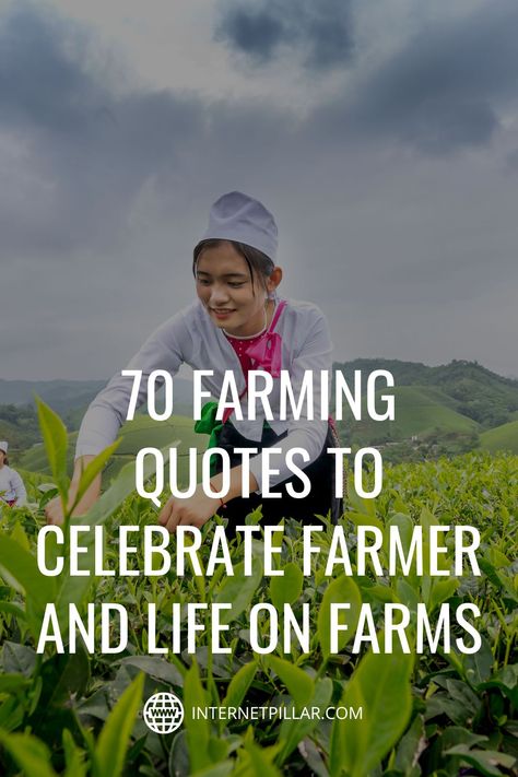 Family Quotes, Farmer Quotes Farm Life Hard Work, Farmer Quotes Funny, Farm Life Quotes Inspiration, Farmer Quotes, Farm Quotes Agriculture, Farmer Quote, Farm Life Quotes, Farm Quotes