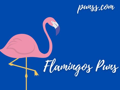 150+ Flamingo Puns: Joke And One-Liners Humour, Flamingo Puns, Flamingo, Animal Puns, Punny, Pink Flamingos, Puns, Pink Bird, Laughter
