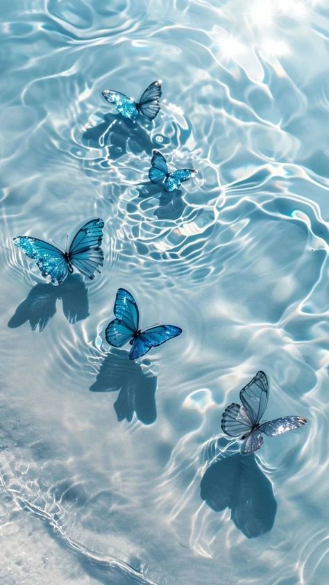Free download of high-quality iPhone wallpapers dreamy beauty of nature – Bujo Art Shop Pretty Wallpaper Iphone, Butterfly Wallpaper Iphone, Iphone Wallpaper Photos, Wallpaper Backgrounds, Aesthetic Wallpapers, Butterfly Wallpaper Backgrounds, Pretty Wallpapers Backgrounds, Iphone Wallpaper Lights, Sky Aesthetic