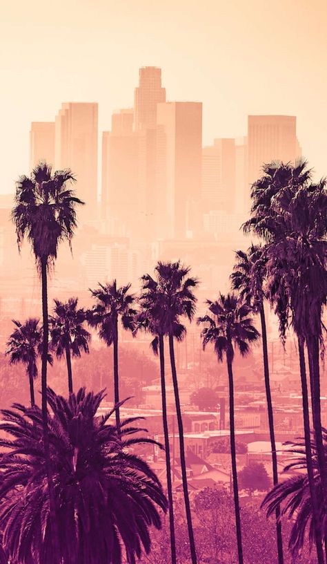 Los Angeles, California Dreamin', Los Angeles Palm Trees, Downtown La, Los Angeles California, Los Angeles Skyline, Downtown, Los Angeles Landscape, Los Angeles Wallpaper