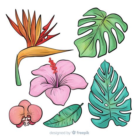 Hand drawn tropical flowers and leaves Free Vector