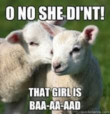 15 Sheep Memes Will Have You Giggling All Day - I Can Has Cheezburger? Funny Memes, Funny Animal Pictures, Funny Animal Quotes, Humour, Funny Dogs, Funny Animal Memes, Funny Things, Crazy Funny Memes, Funny Sheep