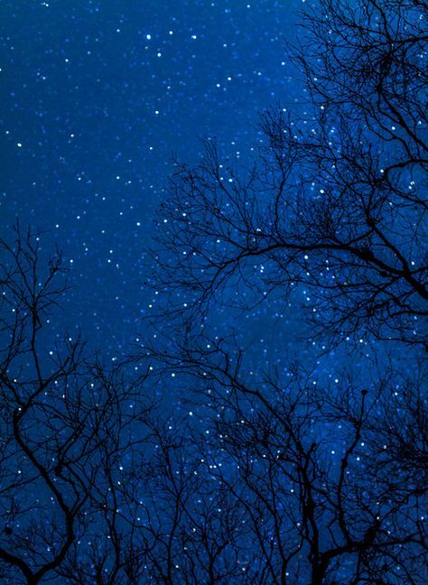 Imagine you are here.  What do you hear?  Is anyone with you?  How do feel?  Write about that, I'd love to know! Sky, Nature, Sky Full Of Stars, Starry Sky, Starry Night Sky, Starry Night, Midnight Sky, Starry, Midnight Blue