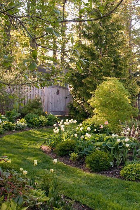 Horizontal space is at a premium in many of the best small backyard ideas. That's why it's good to look for shrubs and trees that max out interest as they grow up, not out. #gardenideas #landscapingideas #backyardideas #smallyardideas #bhg Inspiration, Beautiful, Bunga, Inspo, Jardim, Modern, Garten, Tuin, Fairy Garden
