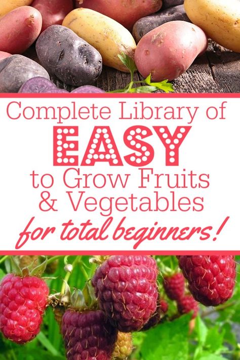 easy to grow vegetables Outdoor, Seed Starting, Vegetable Garden, Shaded Garden, Gardening, Growing Vegetables, Fruit, Vegetable Garden For Beginners, Growing Veggies