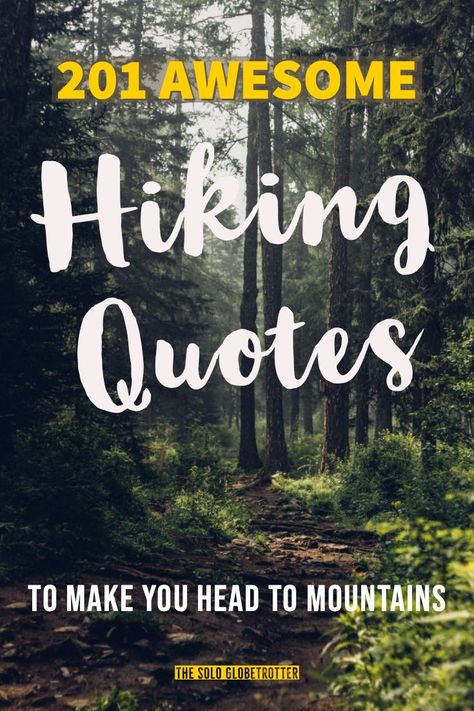 201 Truly Inspiring Hiking Quotes To Make You Pack Bags To Mountains! Trips, Adventure Travel, Camping, Travelling Tips, Travel Quotes, Adventure Quotes, Instagram, Hiking Quotes Adventure, Hiking Quotes