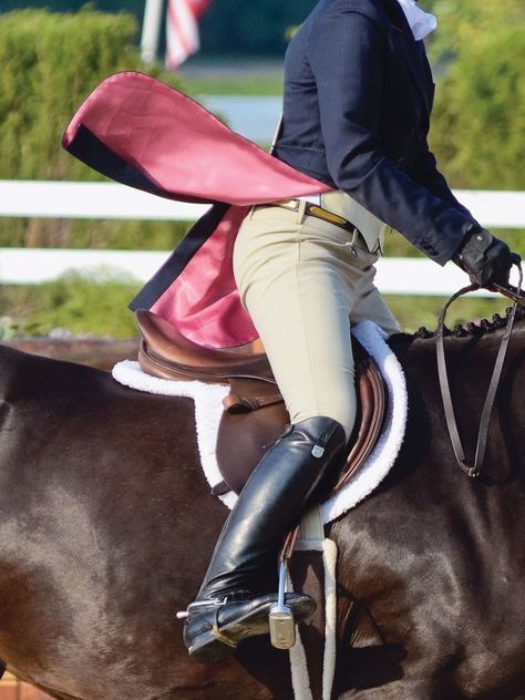 Wondering when its appropriate to wear a shadbelly coat in a hunter/jumper class? A top judge weighs in. Flims, Horses, Equestrian, Meme, Cheval, Hunter, Equitation, Caballos, Cavalier