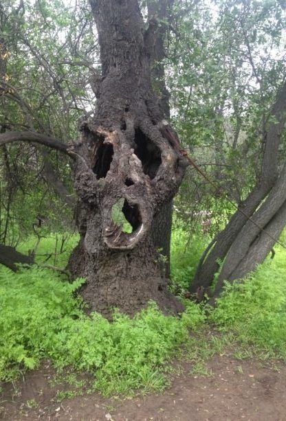 24 Pictures That Are Creepy As F**K - Creepy Gallery | eBaum's World Draw, Beautiful, Resim, Fotografie, Kunst, Picture, Beautiful Nature, Weird, Naturaleza