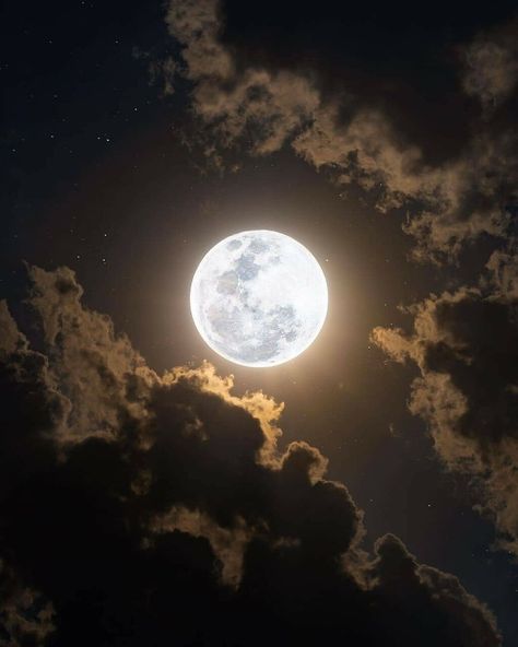 The Moon on Twitter: "the moon is beautiful, isn't it? https://t.co/eKN4hITZ0f" / Twitter
