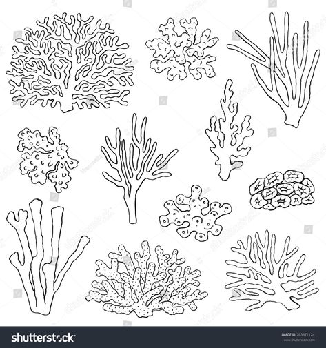 Corals hand drawn illustrations. Ocean plants and coral reef elements isolated on white. Vector corals graphic collection. #Ad , #Ad, #Ocean#plants#coral#illustrations Coral Reef Drawing, Coral Tattoo, Coral Drawing, Coral Reef Art, Ocean Plants, Ocean Drawing, Sea Drawing, Forest Drawing, Sea Plants