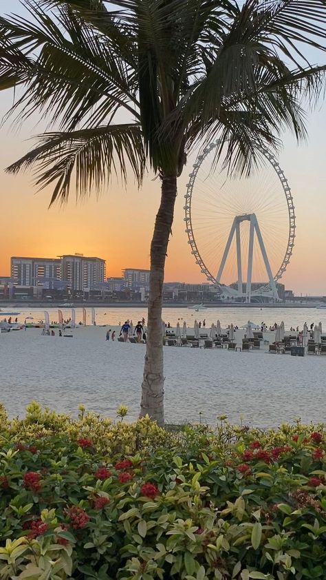 Dubai, Los Angeles, Instagram, Sunset Beach Dubai, Sunset Beach, Beach Aesthetic, Sunset Photography, Dubai Beach, Dubai Aesthetic