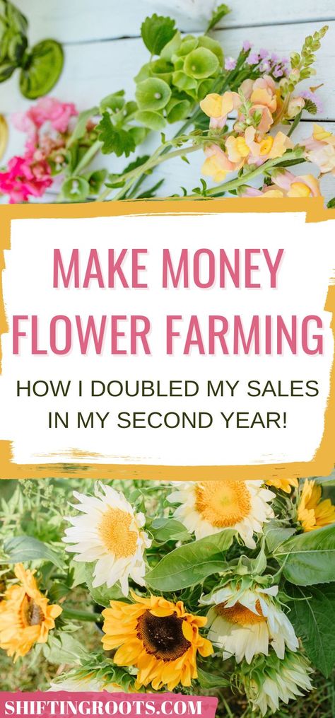 Are you a cut flower lover looking to start a flower farming business? Or a first-year flower farmer with dreams of expanding your business? Here's how I doubled my sales in my second year of flower farming! If I can do it, you can too! Layout, Growing Cut Flowers, Growing Flowers, Cut Flower Farm, Flower Farm, Peony Farm, Farm Gardens, Cutting Garden, Flower Garden