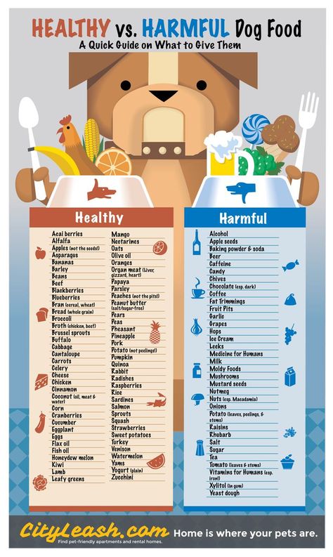 Printable Healthy and Harmful Food for Dogs Poster - CityLeash.com via @KaufmannsPuppy Homemade Dog Food, Dog Food, Foods Dogs Can Eat, Healthy Dogs, Healthy Dog Food Recipes, Dog Food Recipes, Dog Health Tips, Dog Health, Dog Treat Recipes