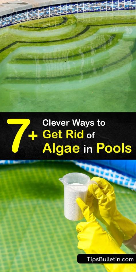 Pool Cleaning Tips, Pool Chemicals, Pool Chlorine, Pool Cleaning, Swimming Pool Maintenance, Pool Maintenance, Diy Swimming Pool