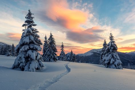 Dramatic wintry scene with snowy trees. by ivankmit. Fantastic orange winter landscape in snowy mountains glowing by sunlight. Dramatic wintry scene with snowy trees. Chr... #Sponsored #trees, #ivankmit, #Fantastic, #snowy Kawaii, Trips, Winter Landscape Photography, Mountains Aesthetic, Christmas Landscape, Snowy Trees, Winter Sky, Mountain Wallpaper, Winter Nature