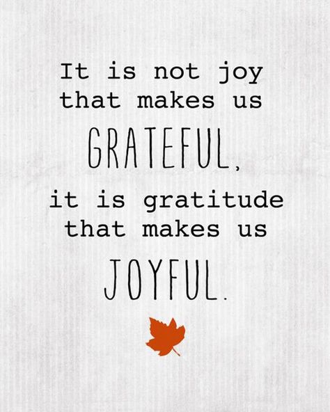 35 Best Gratitude Quotes To Share When You're Feeling Thankful #grateful #gratitude #gratitudequotes Inspirational Quotes, Motivation, Gratitude Quotes, Humour, Gratitude, Thankful Quotes, Grateful Quotes, Grateful Heart Quotes, Feeling Thankful
